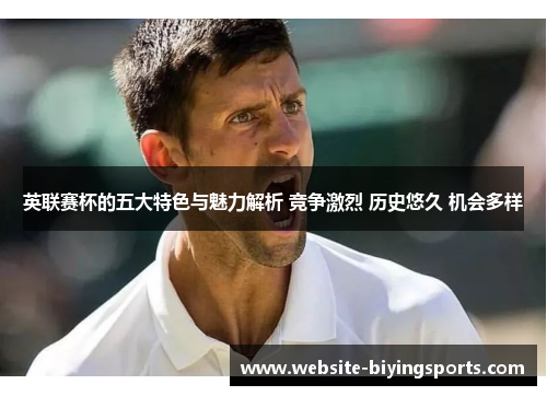 英联赛杯的五大特色与魅力解析 竞争激烈 历史悠久 机会多样